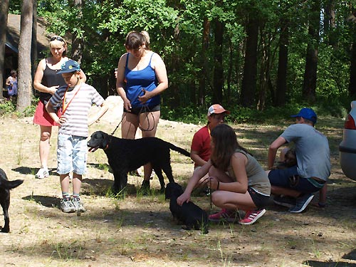 D�tsk� den Mazelov 2015