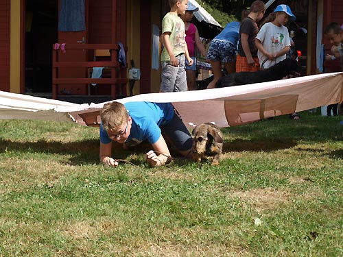 2015 - III. letn� pr�zdninov� pobyt pro d�ti DIANEK