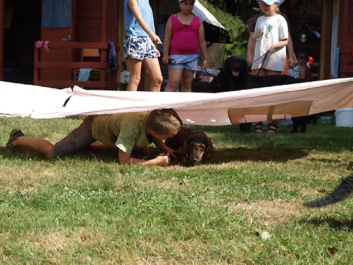 2015 - III. letn� pr�zdninov� pobyt pro d�ti DIANEK
