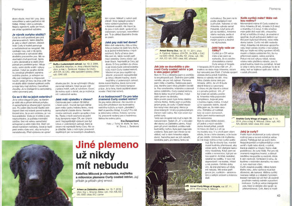 Napsali o n�s.... - Pes p��tel �lov�ka 9/2016