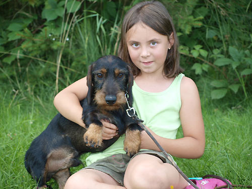 2016 - IV. letn� pr�zdninov� pobyt pro d�ti DIANEK...