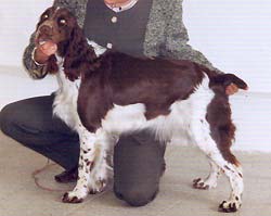 JASNA z Ledenick�ch zahrad