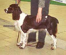  JASNA z Ledenick�ch zahrad