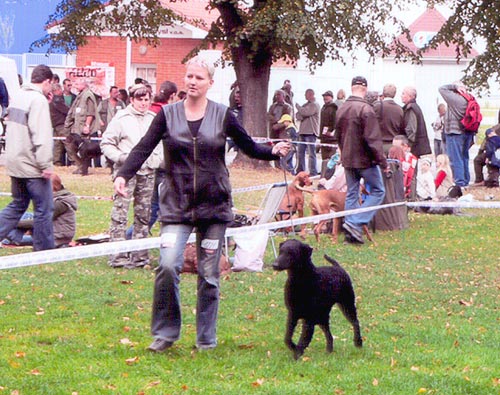 �esk� Bud�jovice 2006