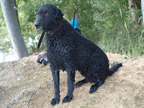 BLACK si u��v� leto�n� sezonu ka�en