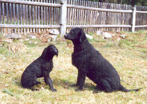 Ursus s matkou Eli