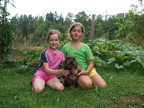 28.7.2014 - II. letn� pr�zdninov� pobyt pro d�ti DIANEK a CILI z Ledenick�ch zahrad