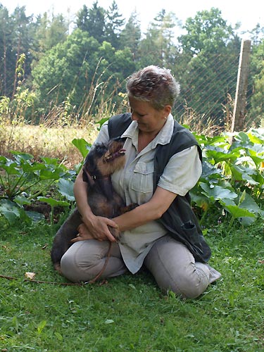 28.7.2014 - II. letn� pr�zdninov� pobyt pro d�ti DIANEK a D�DA z Ledenick�ch zahrad