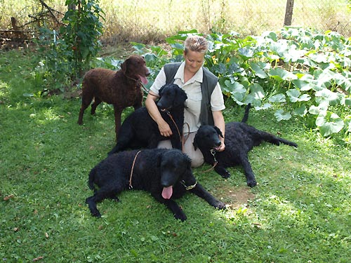 28.7.2014 - II. letn� pr�zdninov� pobyt pro d�ti DIANEK