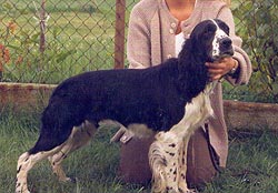 B�ra z Ledenick�ch zahrad