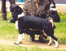 Era z Ledenick�ch zahrad