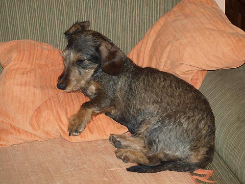 Evi�ku n�v�t�va na OVVR Mal� Ratm�rov fakt moc zmohla