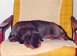 GALY ze Sto�eck�ch luk