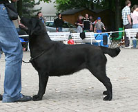 ERNA z Ledenick�ch zahrad