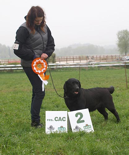 Speci�ln� v�stava Humpolec 2013 - V2, res. CAC