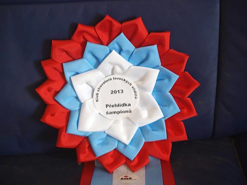 Klubov� a Speci�ln� v�stava Humpolec 2013