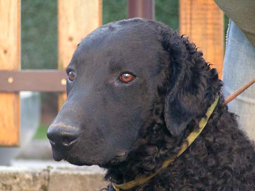 2. Voln� kluk k odb�ru