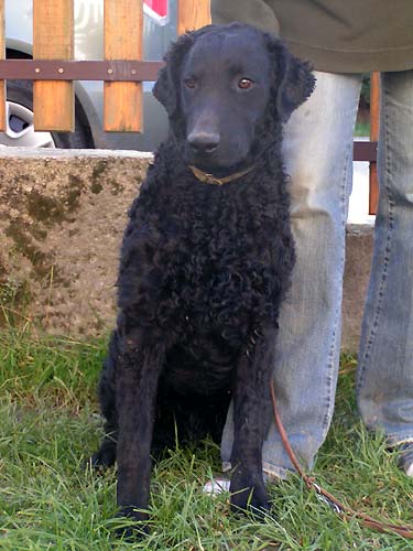 2. Voln� kluk k odb�ru