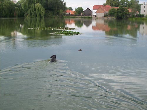B�LA ze Z�meck�ho kraje