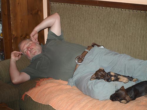 Pejsek HAD a fenka HAJA jsou je�t� voln�