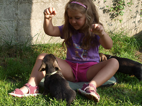 7 t�dn� a m�me malou n�v�t�vu