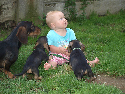 7 t�dn� a m�me malou n�v�t�vu
