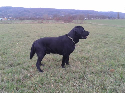 FANT z Ledenick�ch zahrad - 3 roky